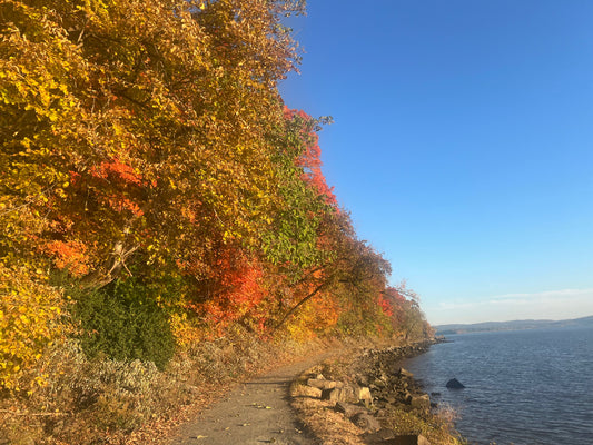 Solo Hiking in Nyack: Tips for a Safe and Empowering Adventure