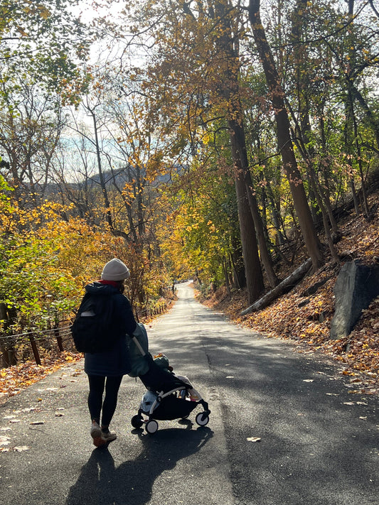 “Hike Nyack” for Families: Kid-Friendly Trails and Activities in the Hudson Valley