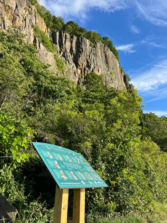 The Best Views in the Hudson Valley: 5 Nyack Hikes with Unforgettable Scenery